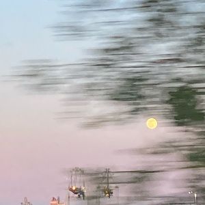 Meet your Posher, Mackenzie